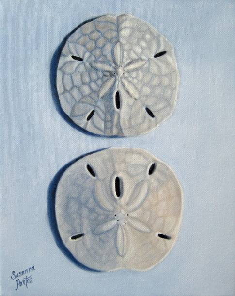 Contemplation: Sand Dollar Pair by Susanna Pantas